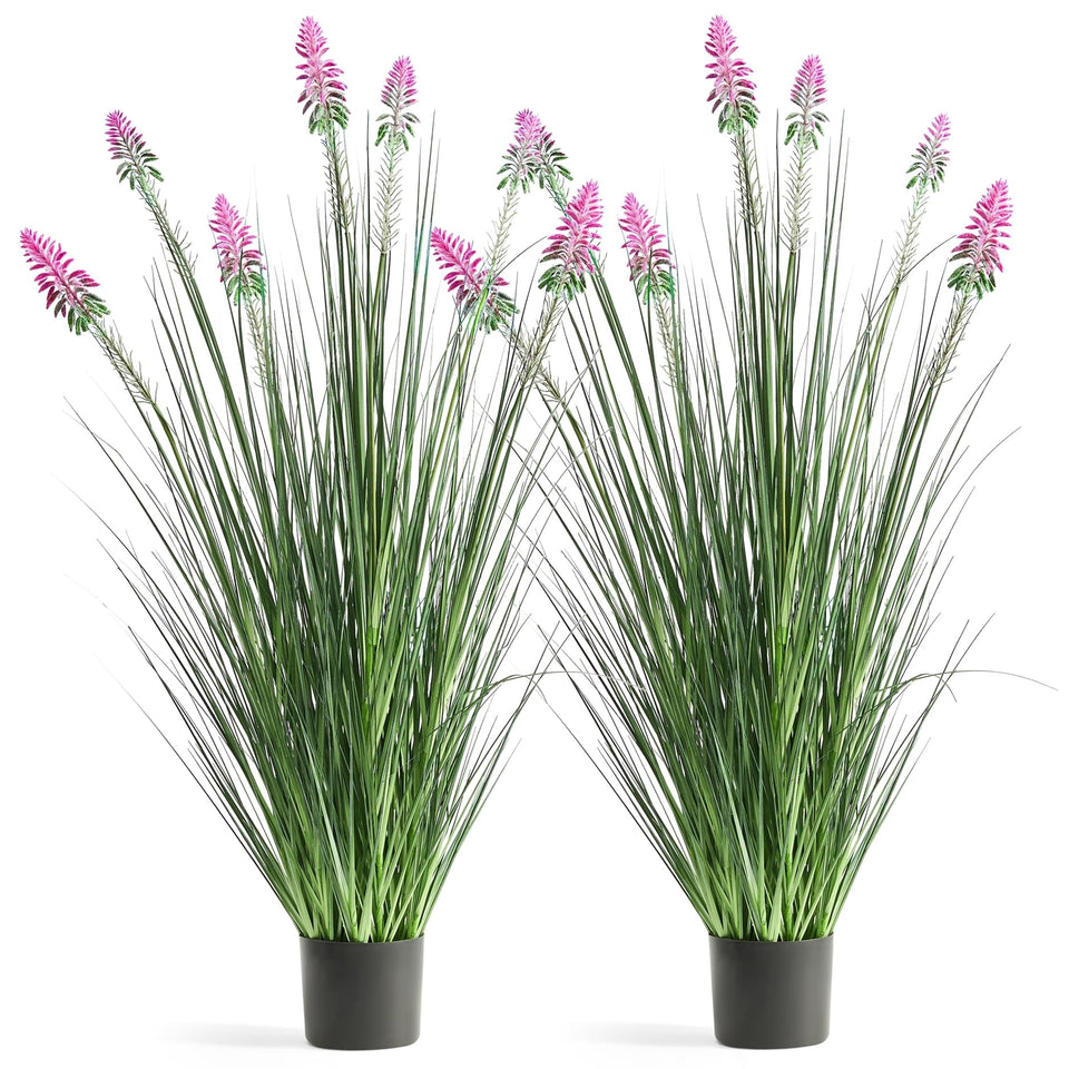 FloraFairy 4ft horsetail reed grass in pot for indoor decor