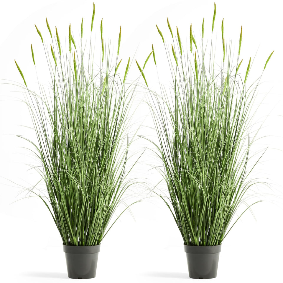 FloraFairy Horsetail Grass with green spikes enhances indoor decor with low-maintenance greenery.