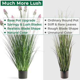 FloraFairy outdoor patio plant that endures sun and wind