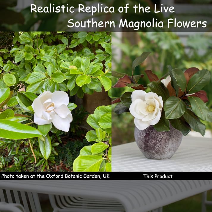 FlorisDecor all-season magnolia decor for timeless room accents
