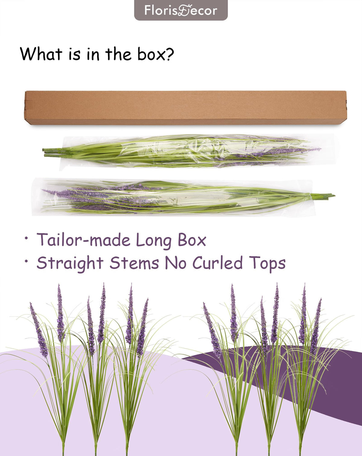 FlorisDecor ornamental grass green strap like leaves for pots