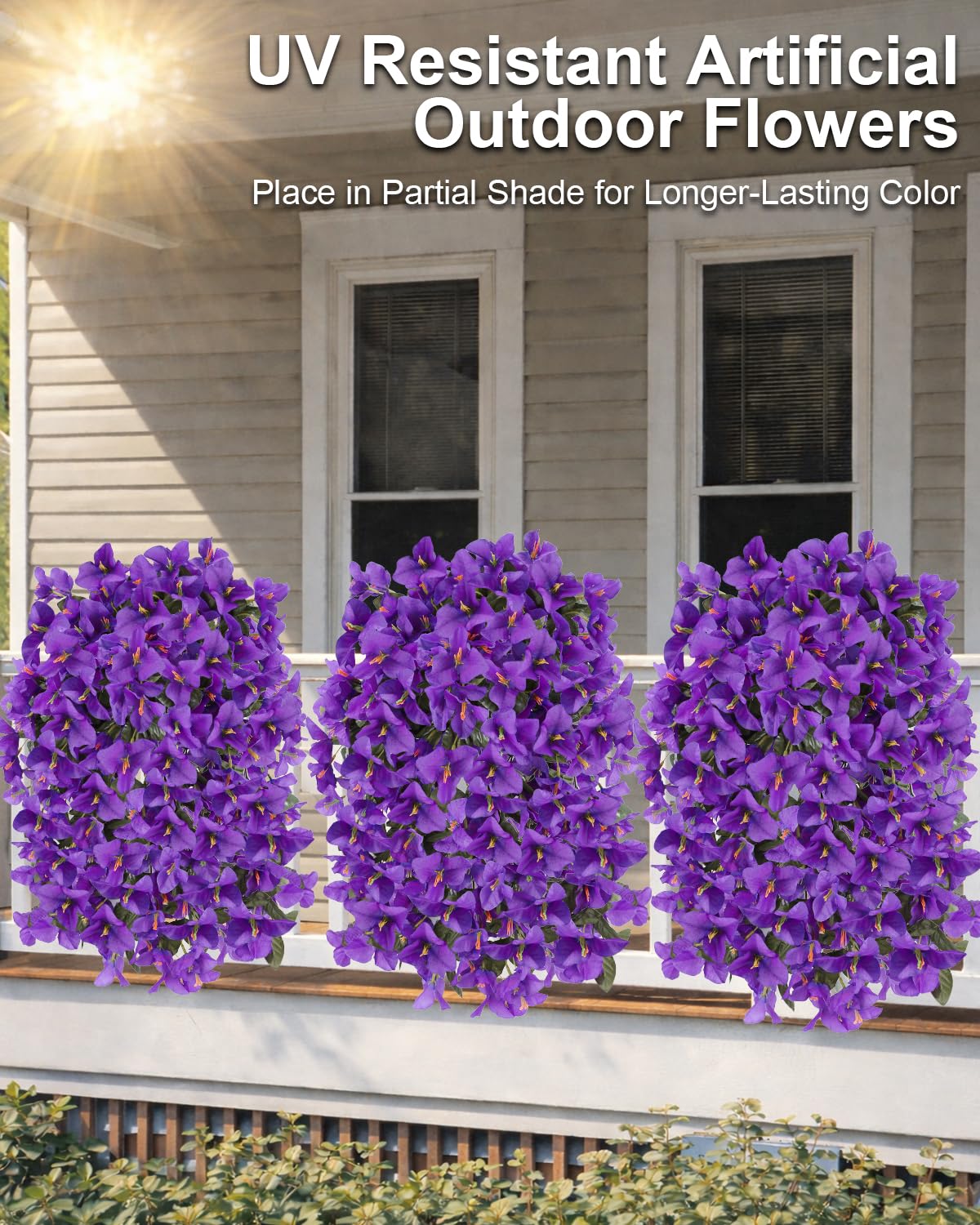 Florispera bougainvillea outdoor purple bundle for window boxes with vibrant color