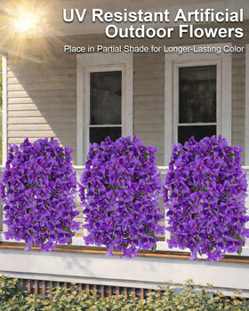 Florispera bougainvillea outdoor purple bundle for window boxes with vibrant color