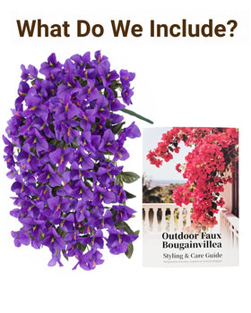 Florispera bougainvillea windproof bloom showing durable, petal-shedding resistance