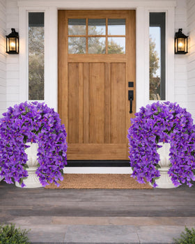 Florispera bougainvillea with reinforced stems supports long-lasting outdoor displays