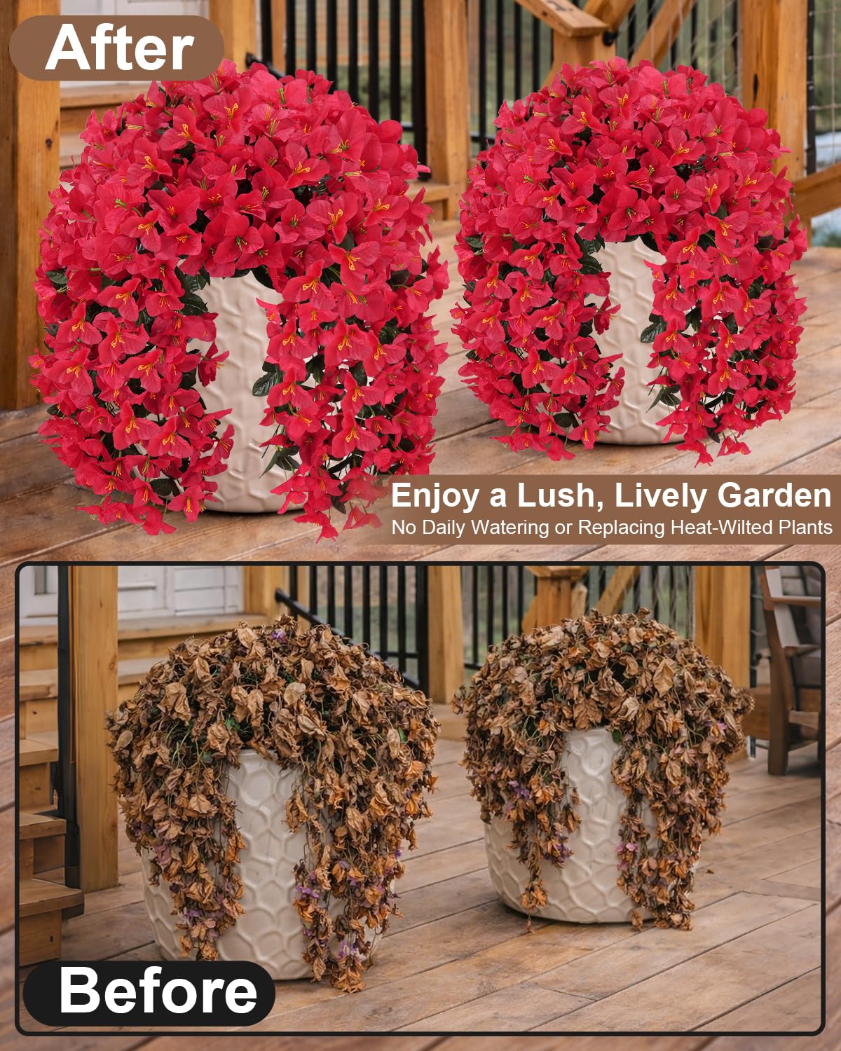 Florispera hanging baskets bougainvillea red for balcony displays