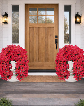 Florispera UV-resistant bougainvillea patio red withstands sun