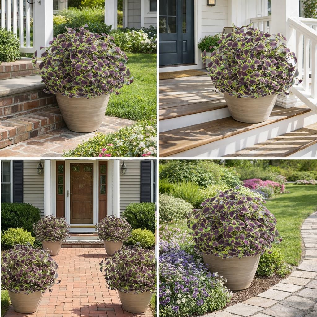 Florisso faux coleus for hanging planters adds vibrant greenery