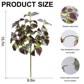 Florisso coleus stems bendable for mixed planter displays