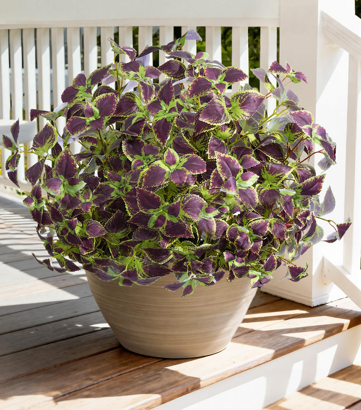 Florisso weatherproof design endures sun and rain across seasons