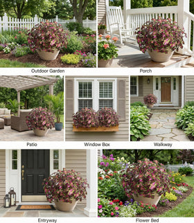 Florisso artificial coleus plants 15-7-inch tall red leaves for outdoors.