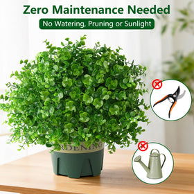 Florisso boxwood leaves close-up highlighting natural texture for lifelike greenery