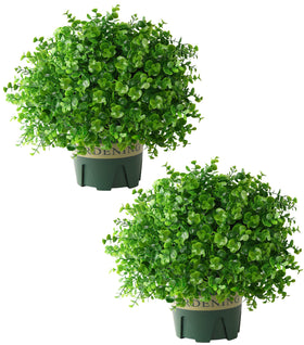 Florisso maintenance-free topiary wipe clean with a damp cloth