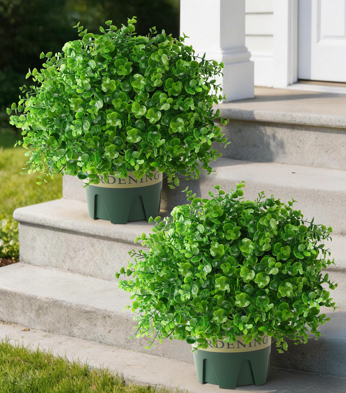 Florisso boxwood topiary trees in pots at the front door for curb appeal
