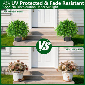 Florisso UV protected boxwood topiary leaves resist sun fading