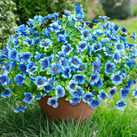 Florisso daisy branch outdoor 12 bundles add durable color to porches.