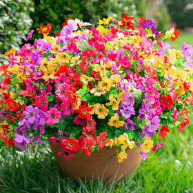 Florisso daisy bundles outdoor colorful arrangement for porch planters