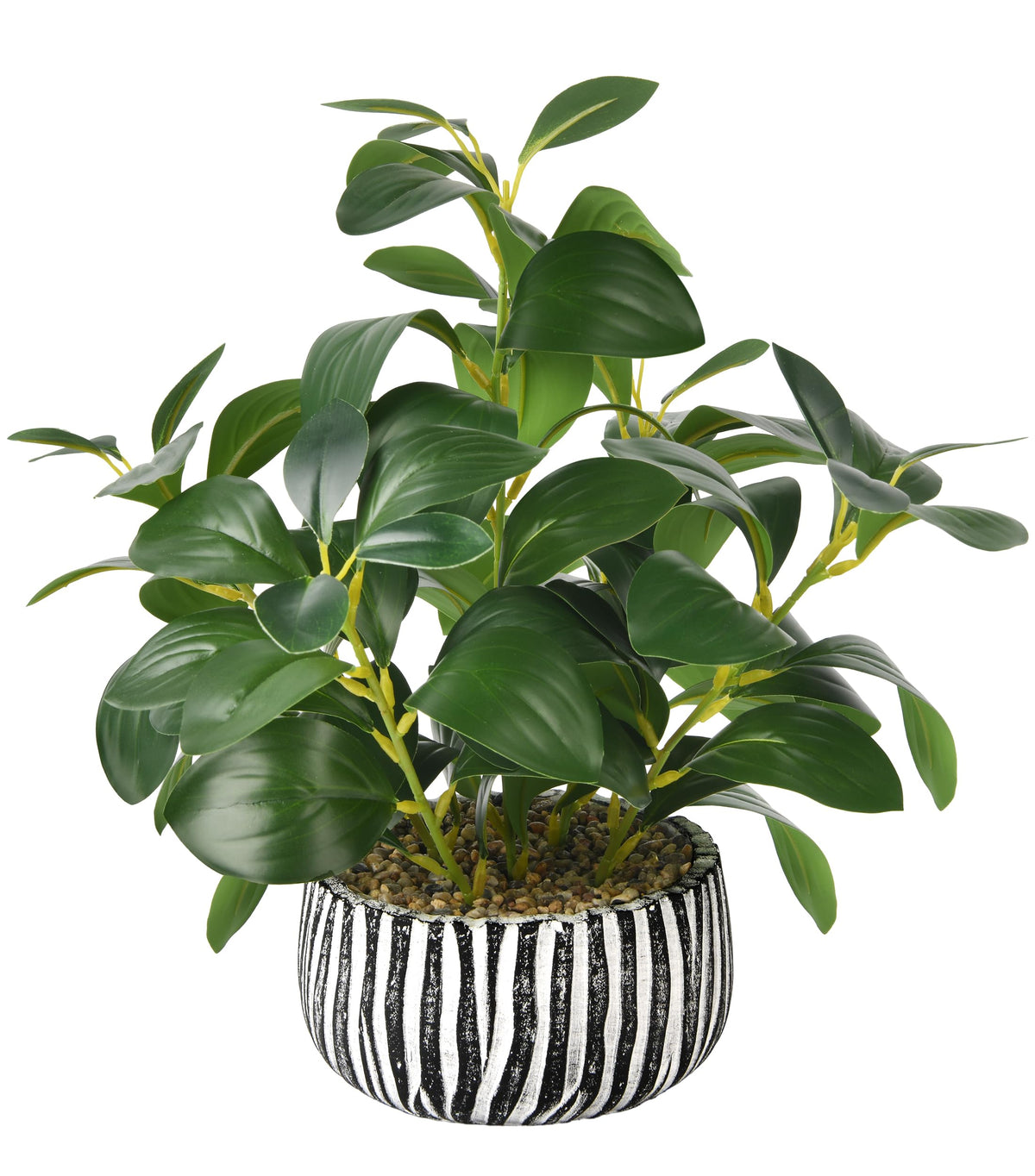 Florisso fig-leaf-greenery-potted-plant adds year-round natural charm to any shelf or desk.