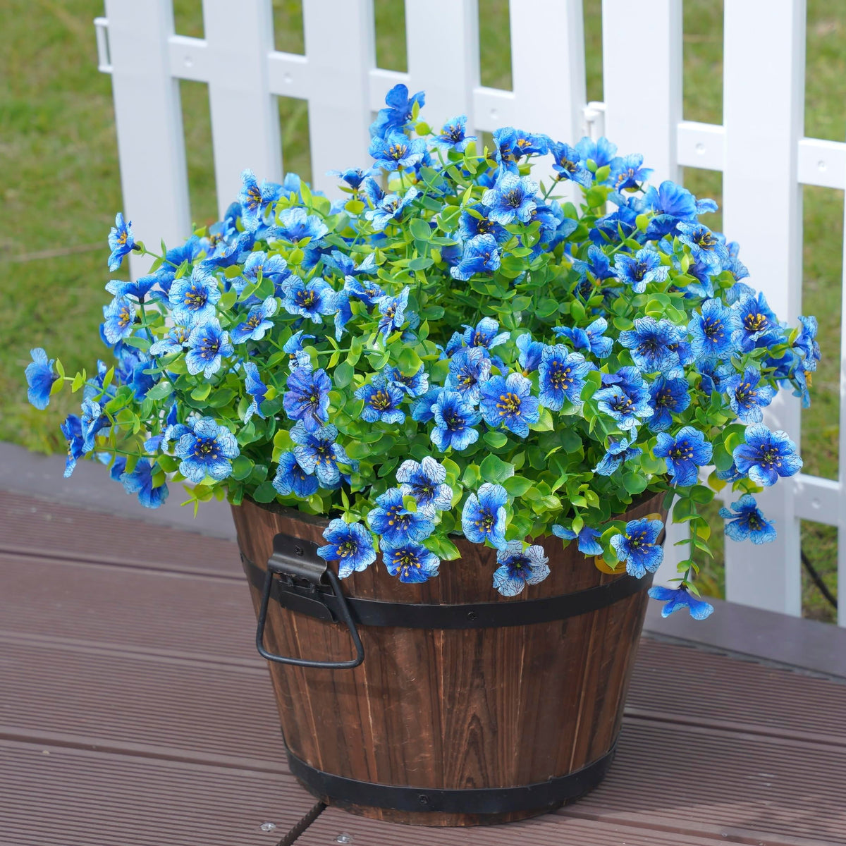Florisso front-porch garden daisies elevate curb appeal year-round.