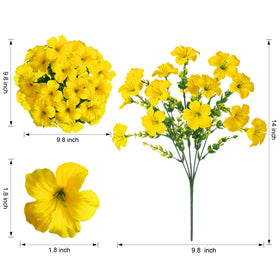 Florisso low-maintenance outdoor flowers that never require watering.