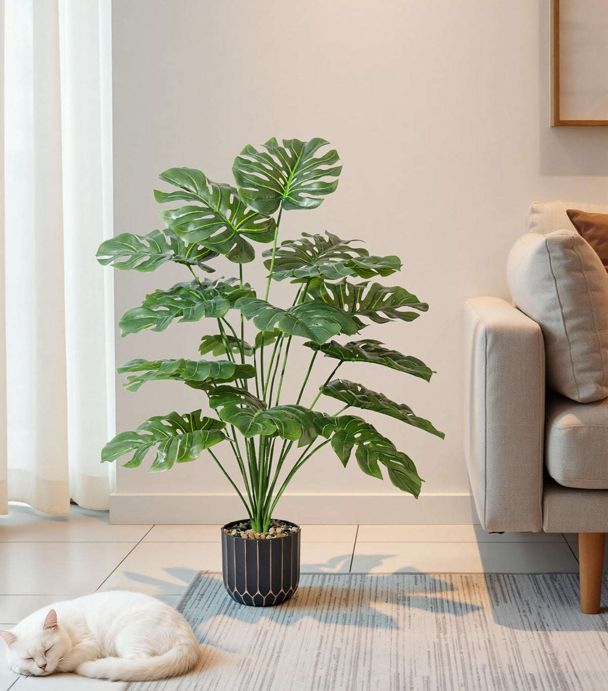 Florisso monstera perfect for office decor and reception areas.