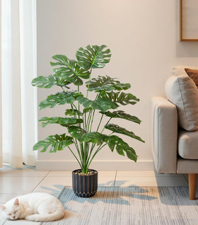 Florisso monstera perfect for office decor and reception areas.