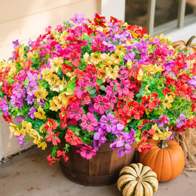 Florisso outdoor daisy that resists sun and weather