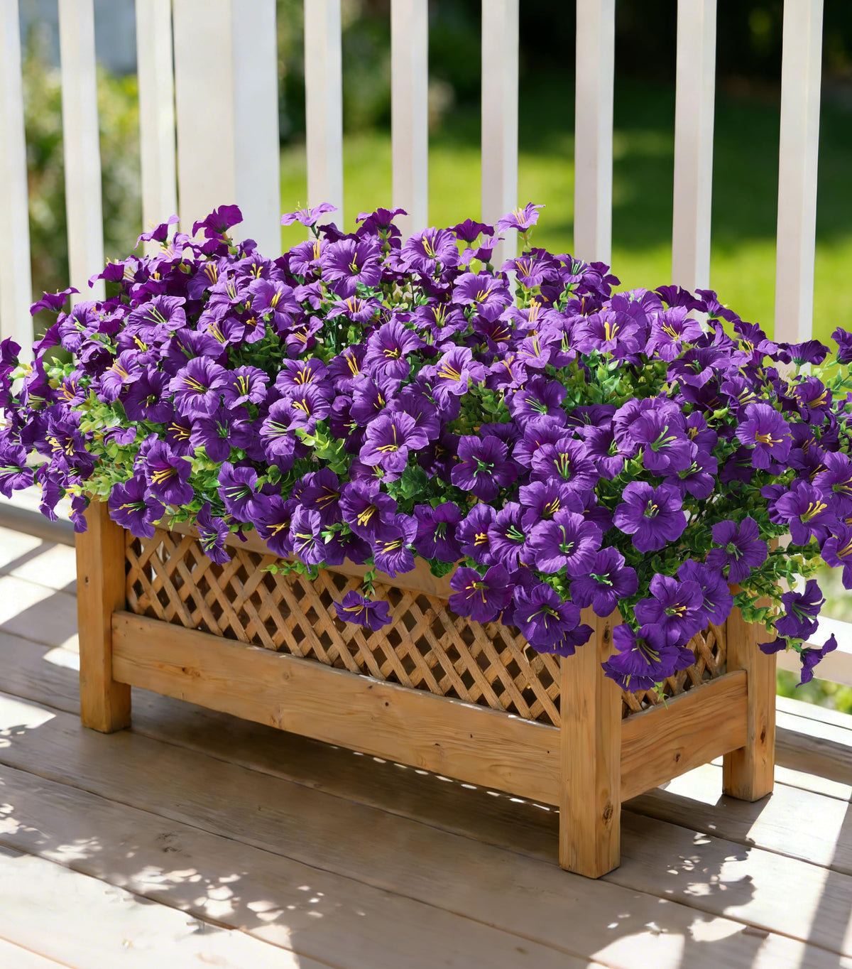Florisso outdoor morning glory with eucalyptus boosts curb appeal in any yard.