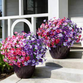 Florisso UV-resistant silk flowers resist sun exposure to keep color bright.