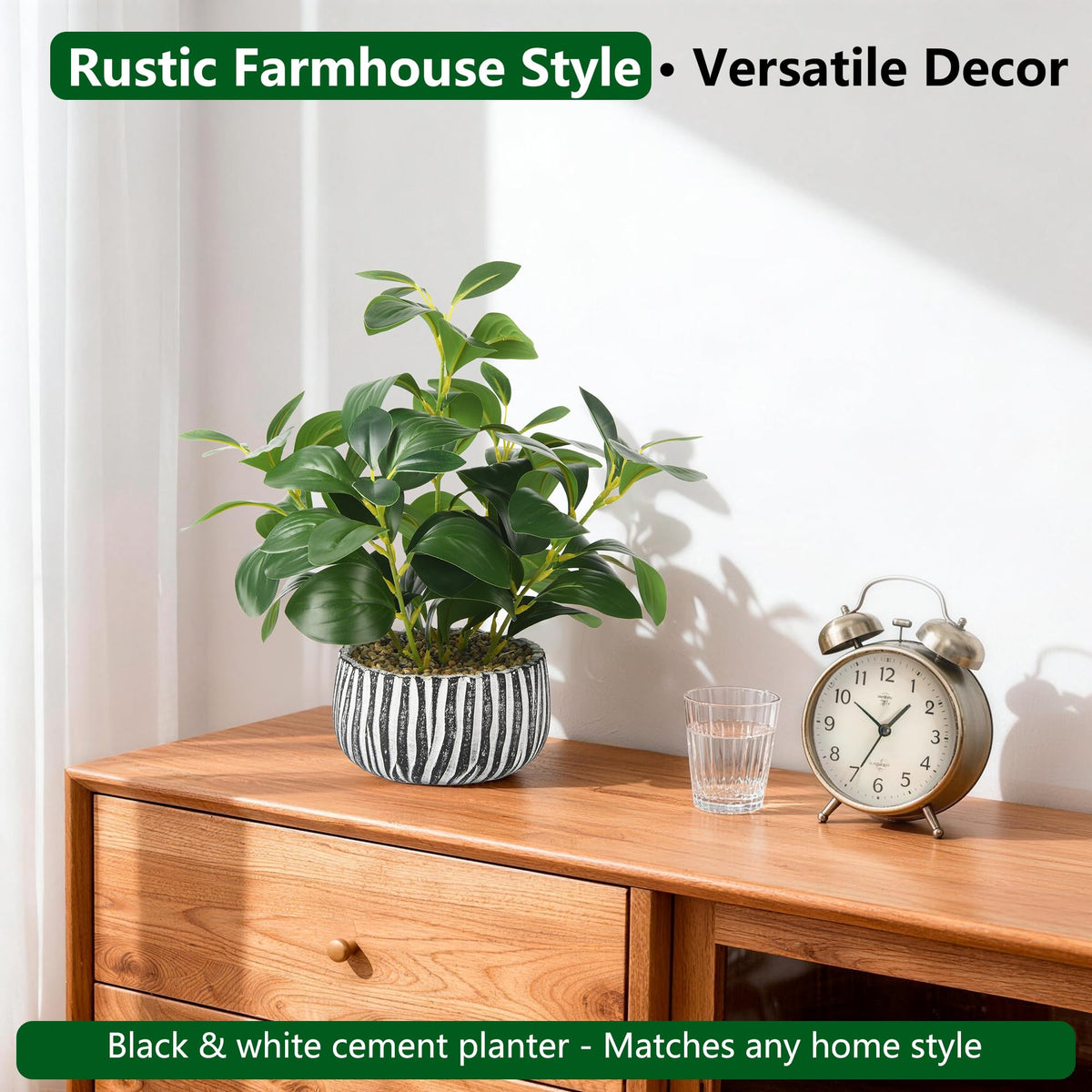 Florisso polished-stones-decor-accent finishes the display with subtle sparkle.