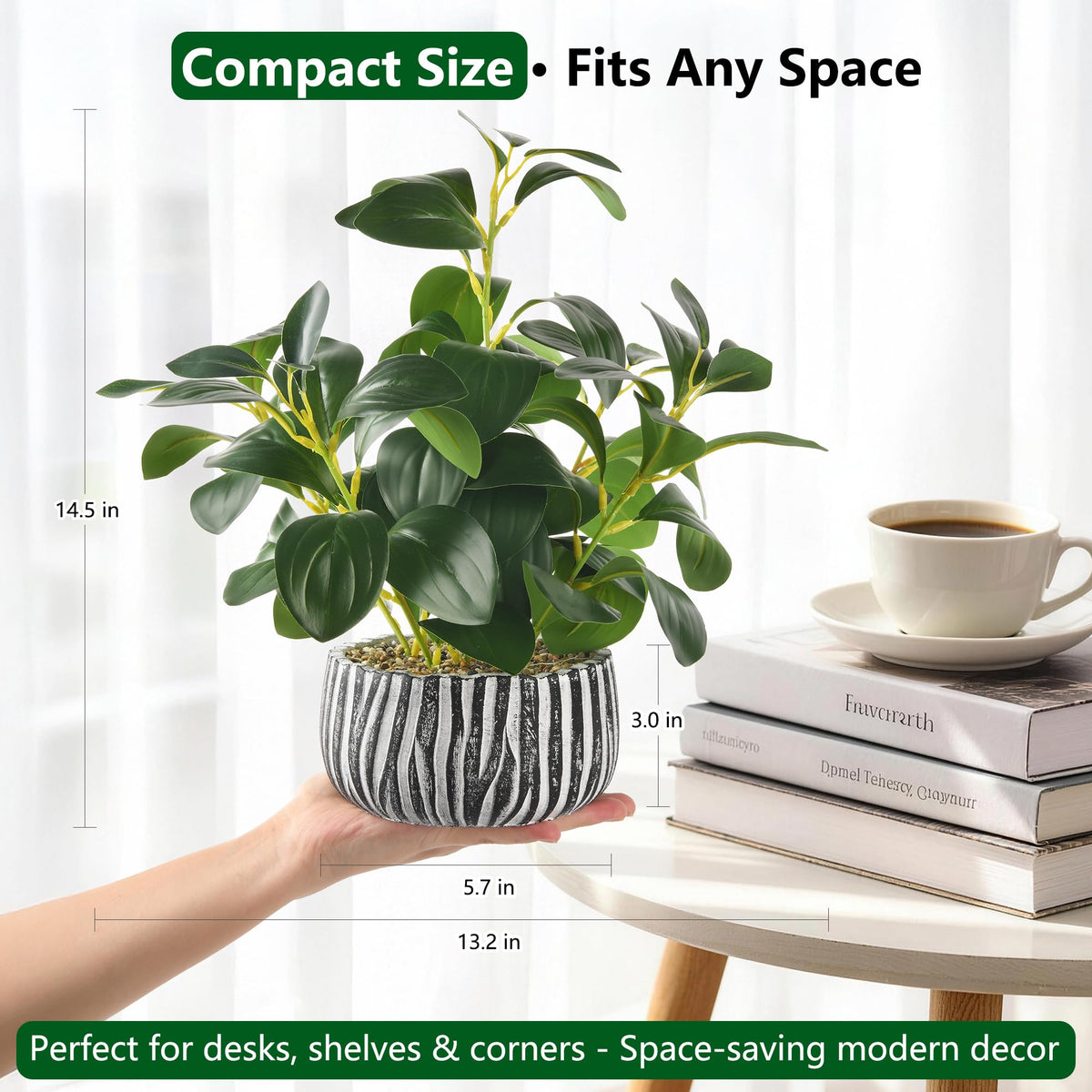 Florisso premium-packaging gift-ready protects leaves and planter during shipping.