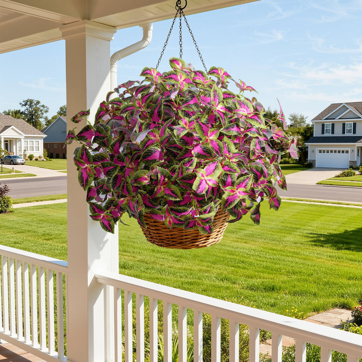 Florisso red coleus leaves for outdoor decor on porches and paths.