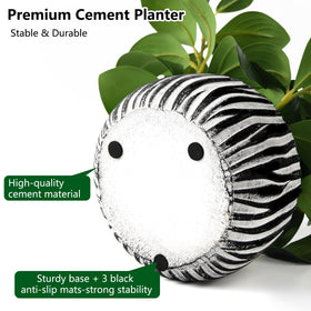 Florisso sturdy thick-walled-planter provides stable display on desks and shelves.