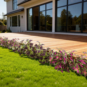 Florisso UV-resistant coleus plants silk outdoor décor that resists sun fading.
