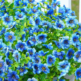 Florisso uv-resistant daisy plants resist fading for long-lasting outdoor displays.