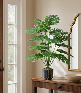 Florisso zero-maintenance monstera requires no watering or pruning.