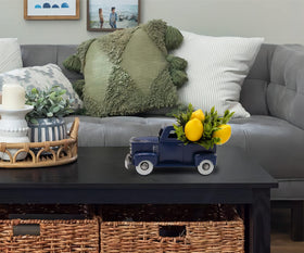 FLOROAD diecast truck with waterproof lemons stays year-round.