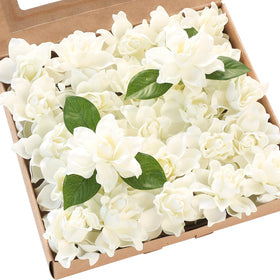 Floroom ivory gardenia flower head close-up for elegant DIY bouquets