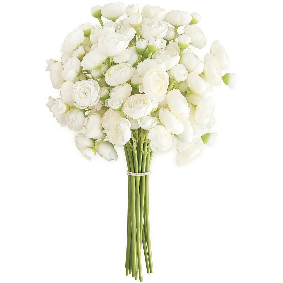 Floroom ivory ranunculus 18-pcs stems for easy bouquet fillers and long-lasting decor.
