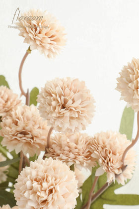 Floroom beige mums for wedding aisles and elegant tables.