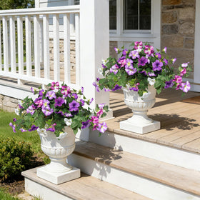 Flortevera 4-color Petunia Mix Offers Rich Color Transitions.