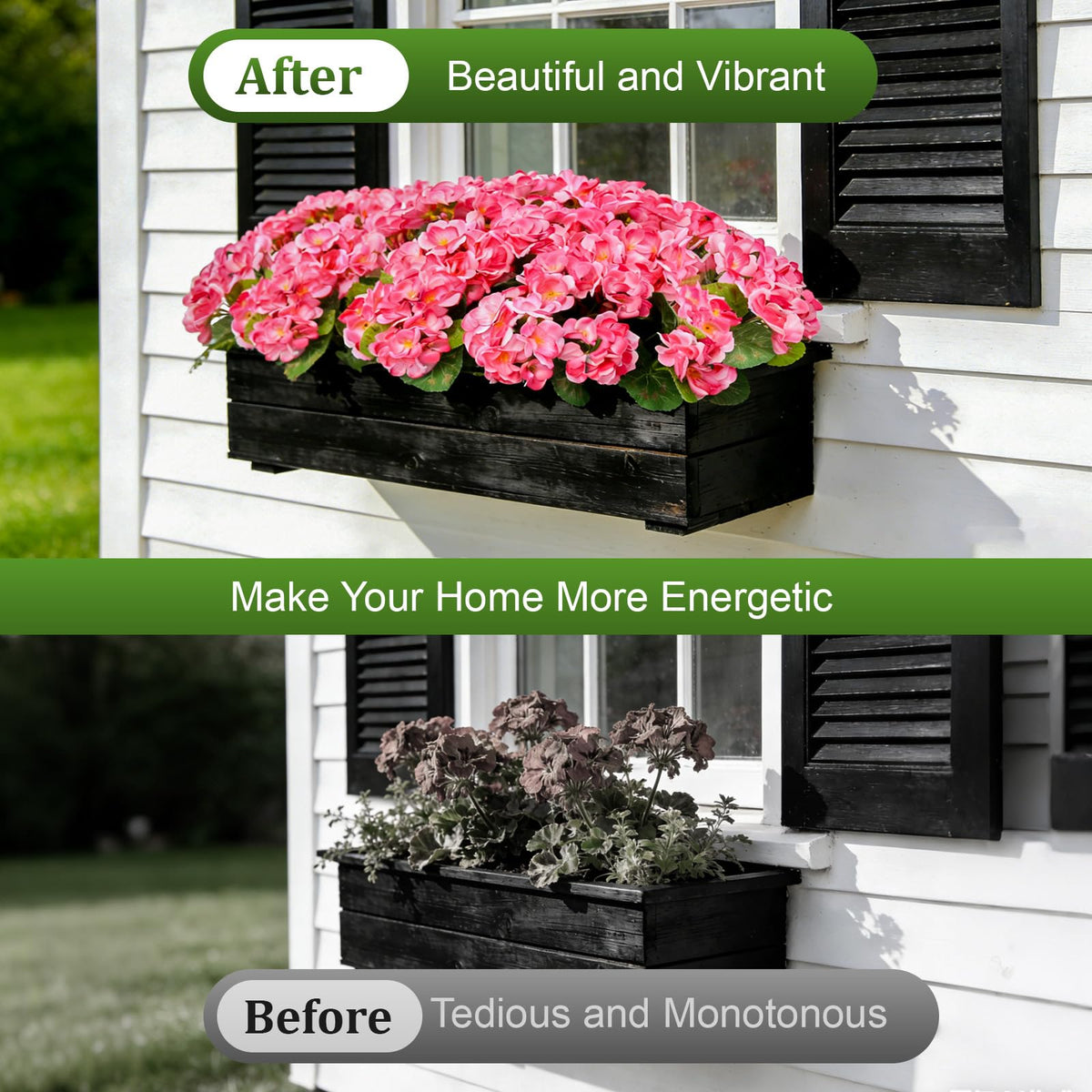 Flortevera front-door decor geraniums brighten entryways with minimal care.