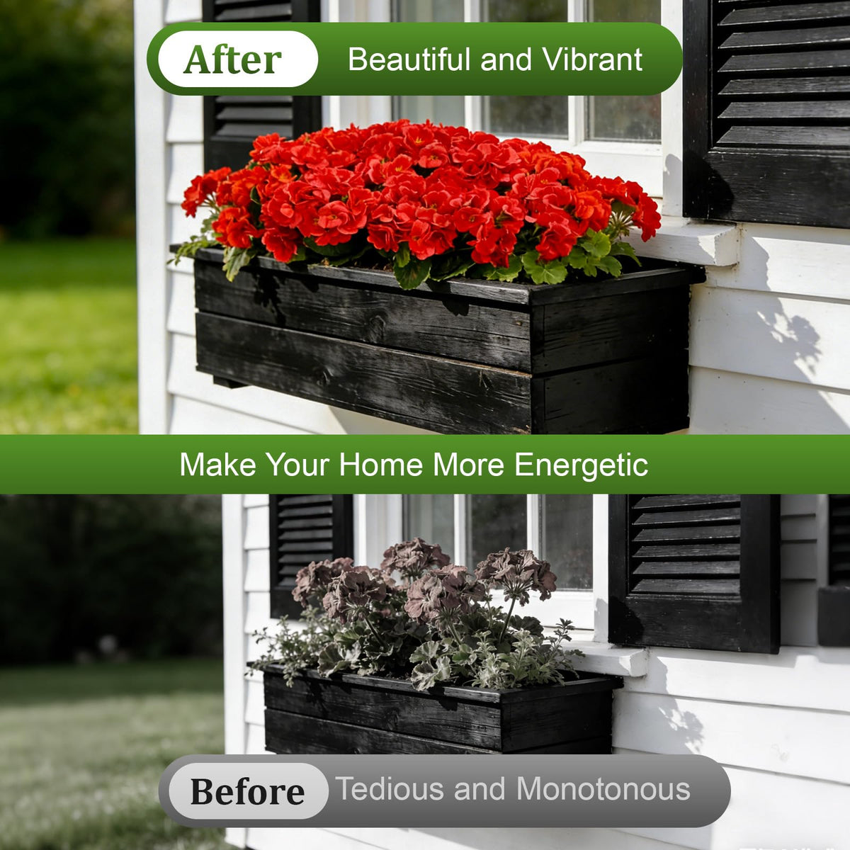 Flortevera silk geraniums provide permanent decorative color without watering