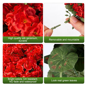 Flortevera geraniums at the front door for welcoming curb appeal.