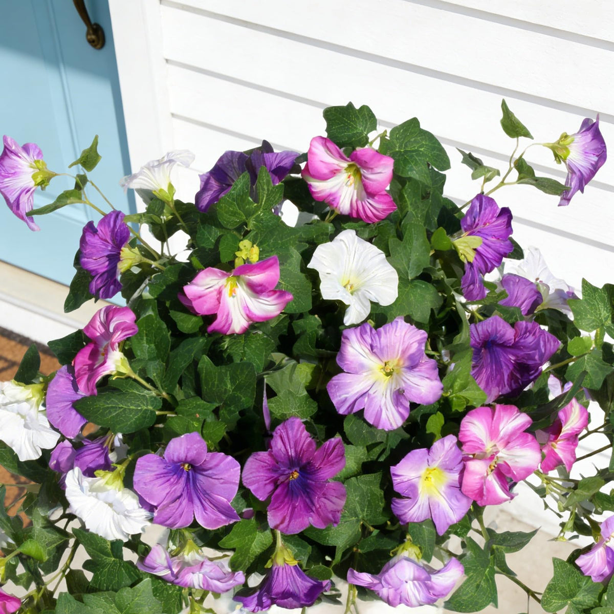 Flortevera Weatherproof Flowers Endure Sun and Rain with Lasting Appeal.