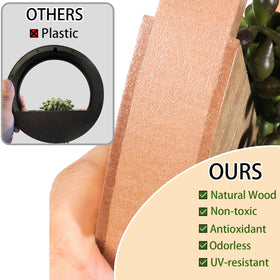 Floweroyal easy-dust-cleaning design keeps leaves clean and presentable.