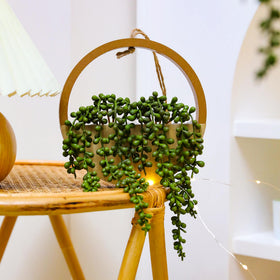 Floweroyal indoor-outdoor decor setup fits living rooms, bathrooms, and entryways.