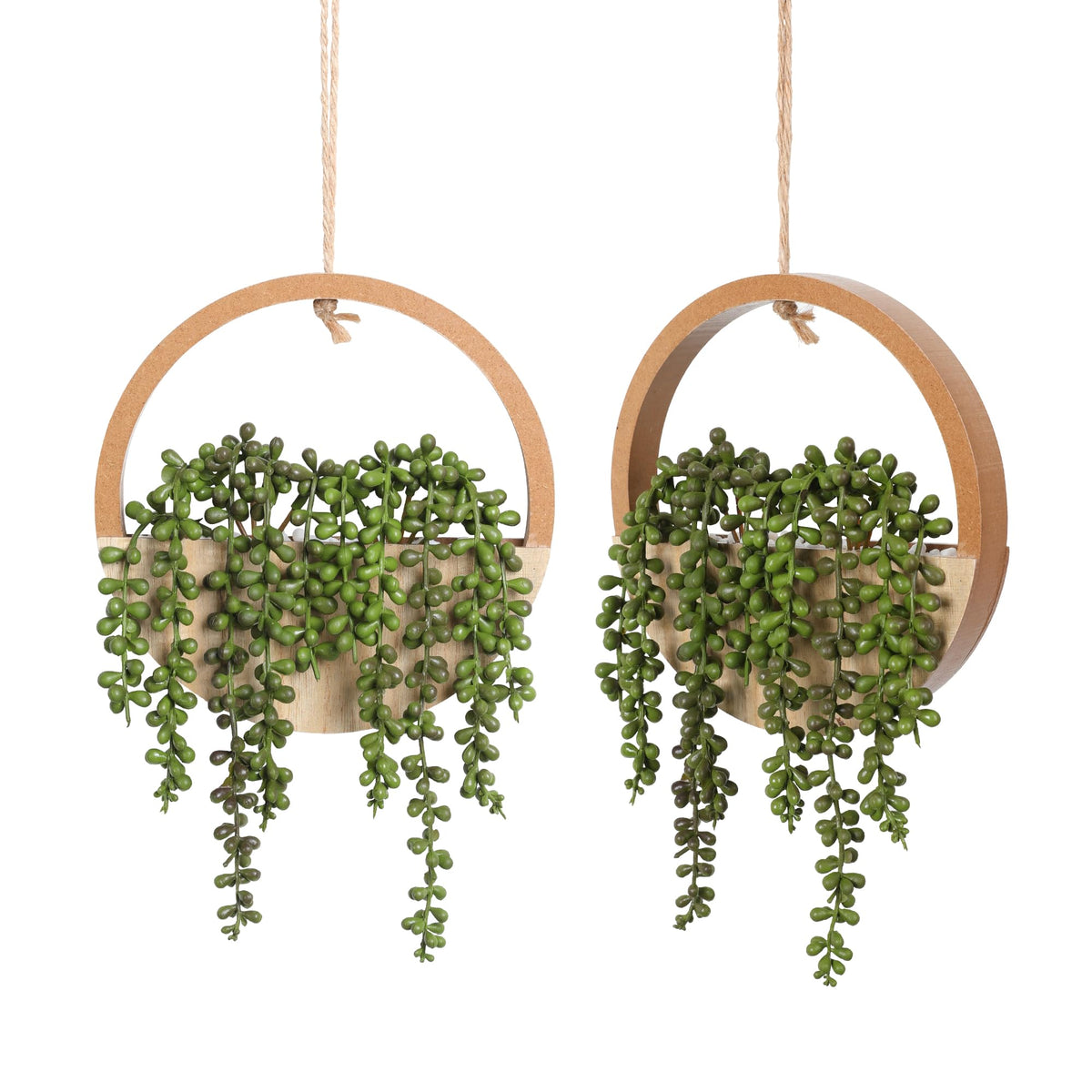 Floweroyal string-of-pearls in wood planter: a decorative touch that stays vibrant with no watering.