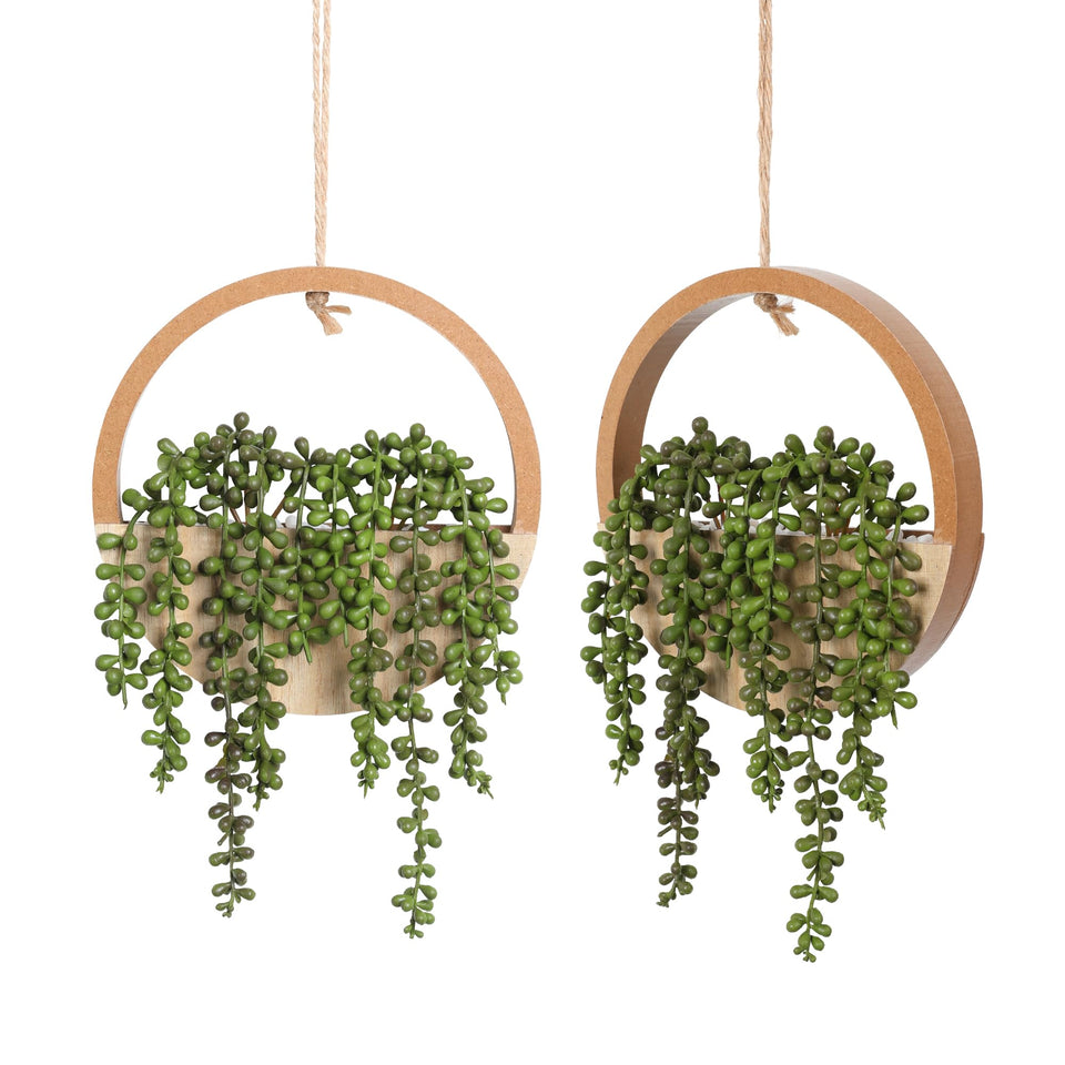 Floweroyal string-of-pearls in wood planter: a decorative touch that stays vibrant with no watering.