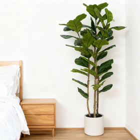 FLRLIVING floor plant in a modern space adds a tall green focal point